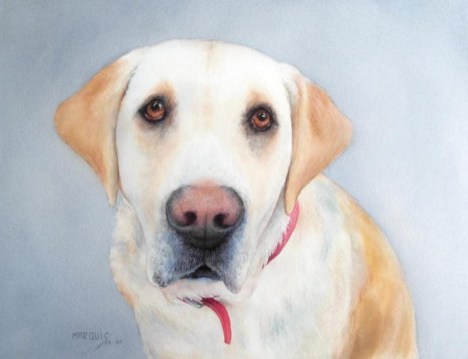 J'ai besoin d'un ami